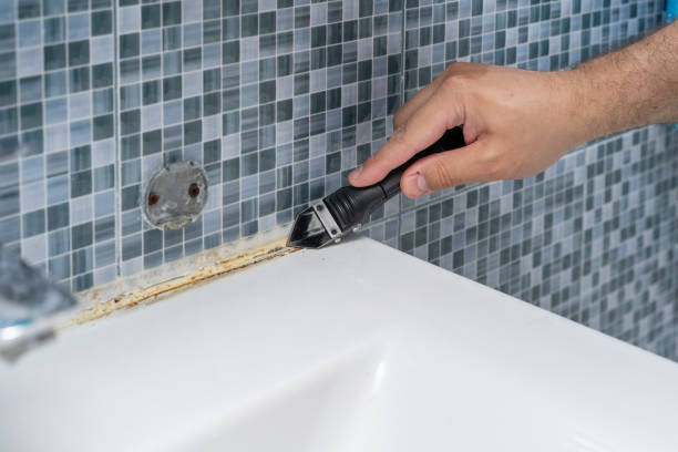Trusted Somerset, MD Mold Removal Experts
